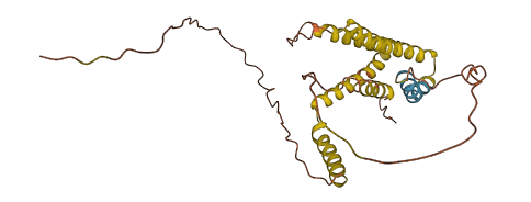 SLC35E2A 3D structure