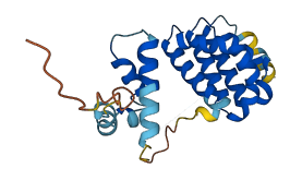 STAG3L1 3D structure