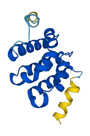 STAG3L3 3D structure