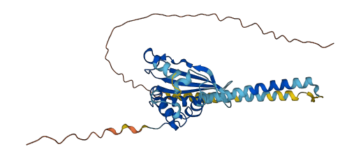 TSPY3 3D structure