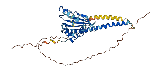 TSPY4 3D structure