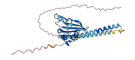 TSPY8 3D structure