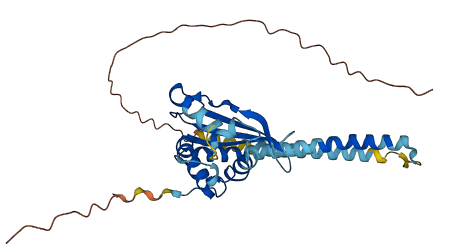 TSPY10 3D structure