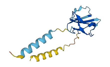 Ly6c1 3D structure