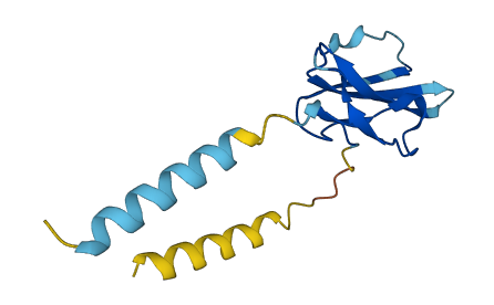 Ly6c2 3D structure