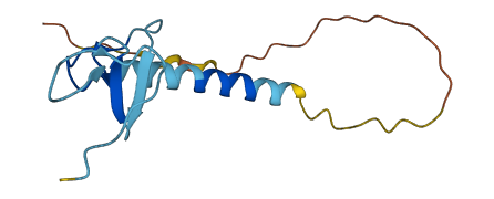 LIMS3 3D structure