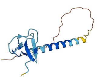 LIMS4 3D structure
