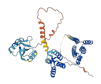 PNMA6A 3D structure