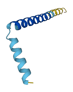 SMIM6 3D structure