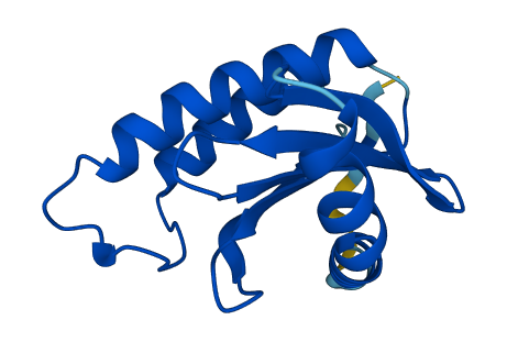 TRAPPC2 3D structure