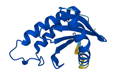 TRAPPC2B 3D structure