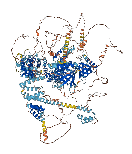 RGPD1 3D structure