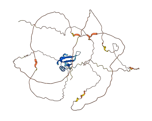 RBMY1A1 3D structure