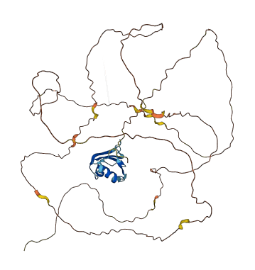 RBMY1C 3D structure