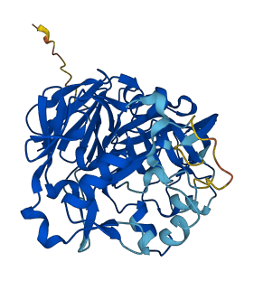 PGA4 3D structure