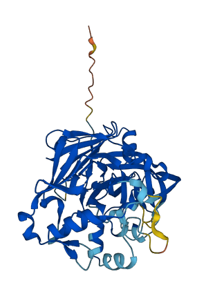 PGA3 3D structure