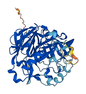 PGA5 3D structure