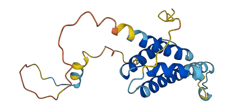 RD3L 3D structure