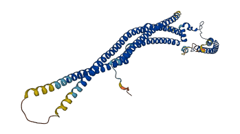 SRGAP2C 3D structure