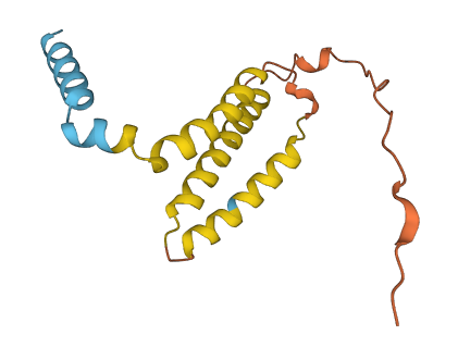 MPC1L 3D structure