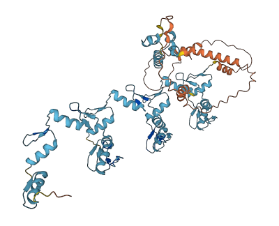 ZNF728 3D structure