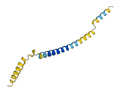 SMIM18 3D structure