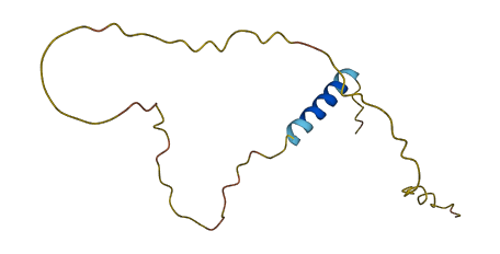 SMIM17 3D structure