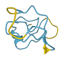 MT1HL1 3D structure