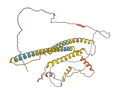 NPIPA8 3D structure