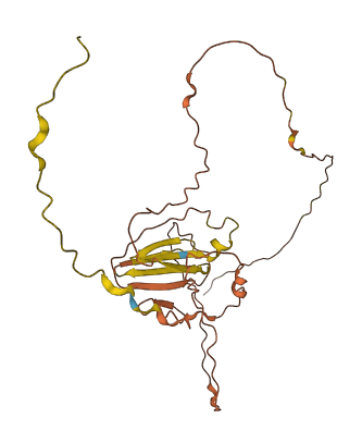 PRR23D2 3D structure