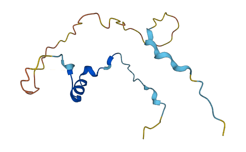 C8orf88 3D structure