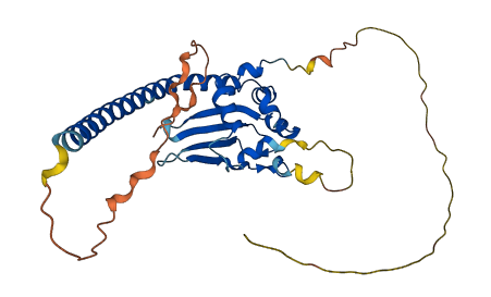 SETSIP 3D structure