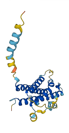 CSH1 3D structure