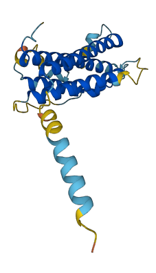 CSH2 3D structure