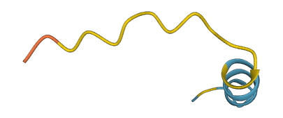MTRNR2L12 3D structure
