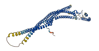 SRGAP2B 3D structure