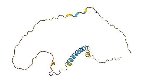INAFM2 3D structure