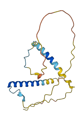 C8orf89 3D structure