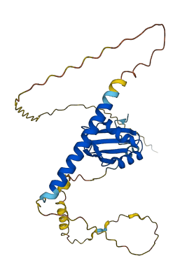 HNRNPCL4 3D structure