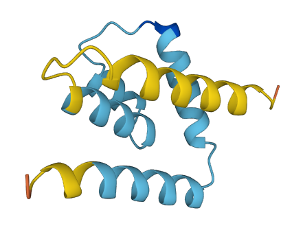SCGB1C2 3D structure
