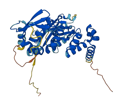 Tdpoz1 3D structure