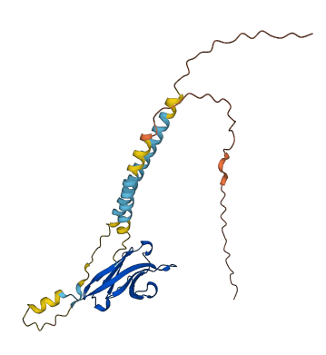 TMIGD3 3D structure