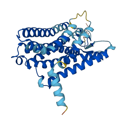 OR8G3P 3D structure
