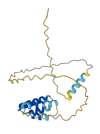 CT45A6 3D structure