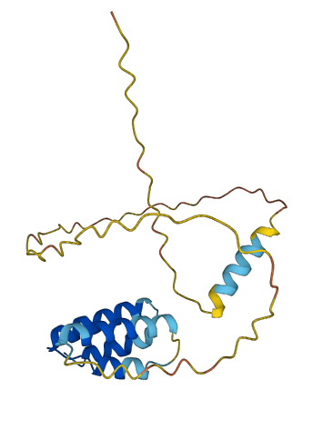 CT45A5 3D structure