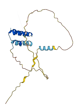 CT45A8 3D structure