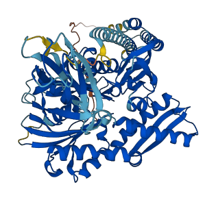 HSPA1B 3D structure
