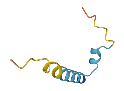 NLRP2B 3D structure