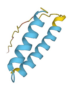 SMIM10L1 3D structure