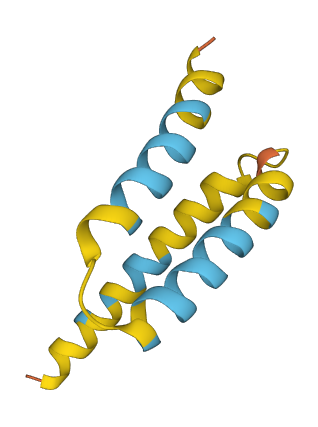 SMIM10L2A 3D structure